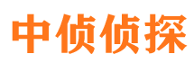 额敏市私家侦探